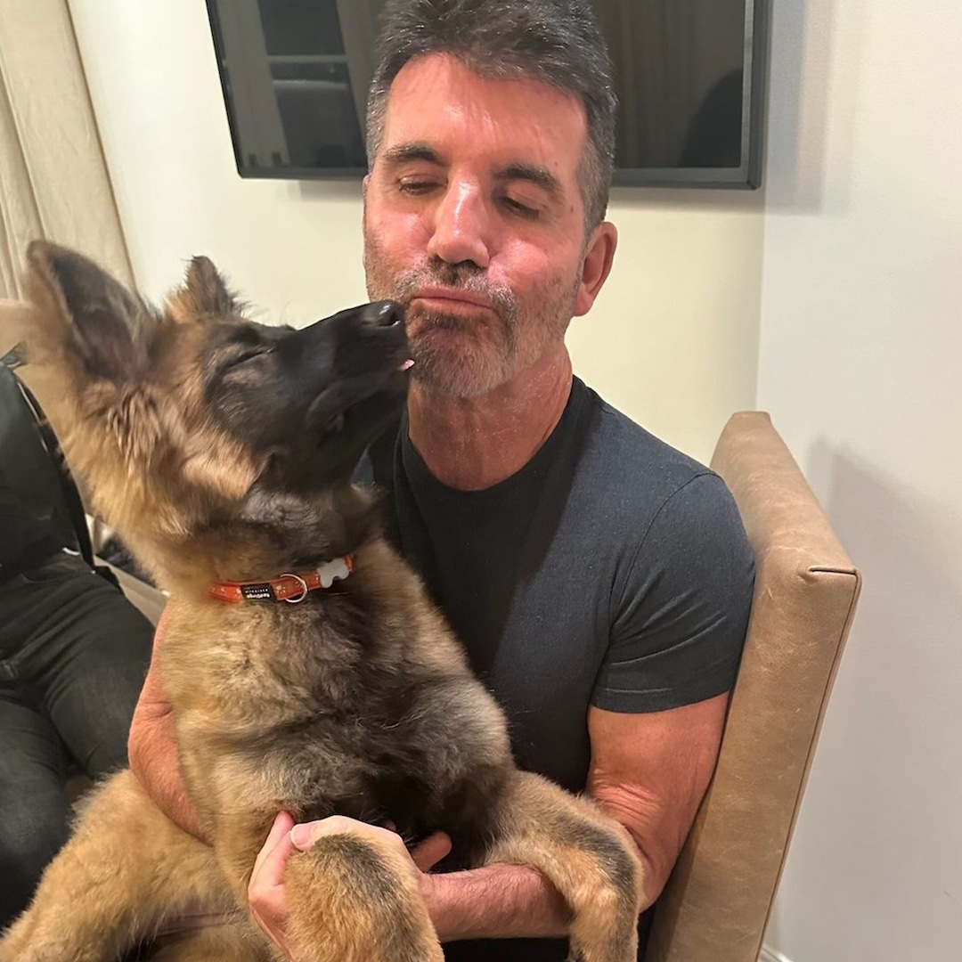 Simon Cowell’s Cute New Family Member Has a Talent for Puppy Dog Eyes